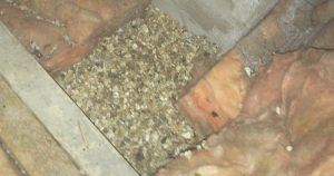 Vermiculite and Glass Wool attic insulation