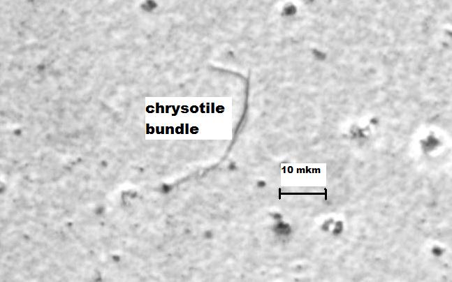 Chrysotile fibers under PCM