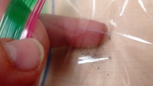 15-tape lift in ziploc bag