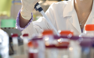 Charlotte, NC, USA --- Scientist Working on a Experiment in a Laboratory --- Image by © Thinkstock/Corbis